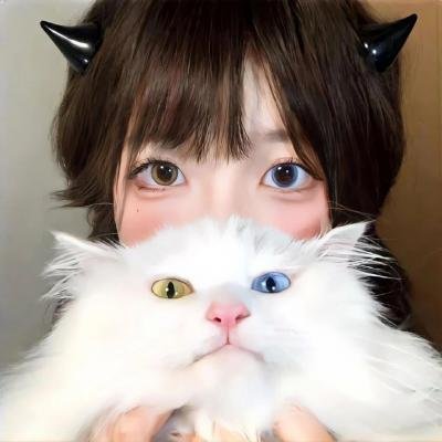 小姐不在家