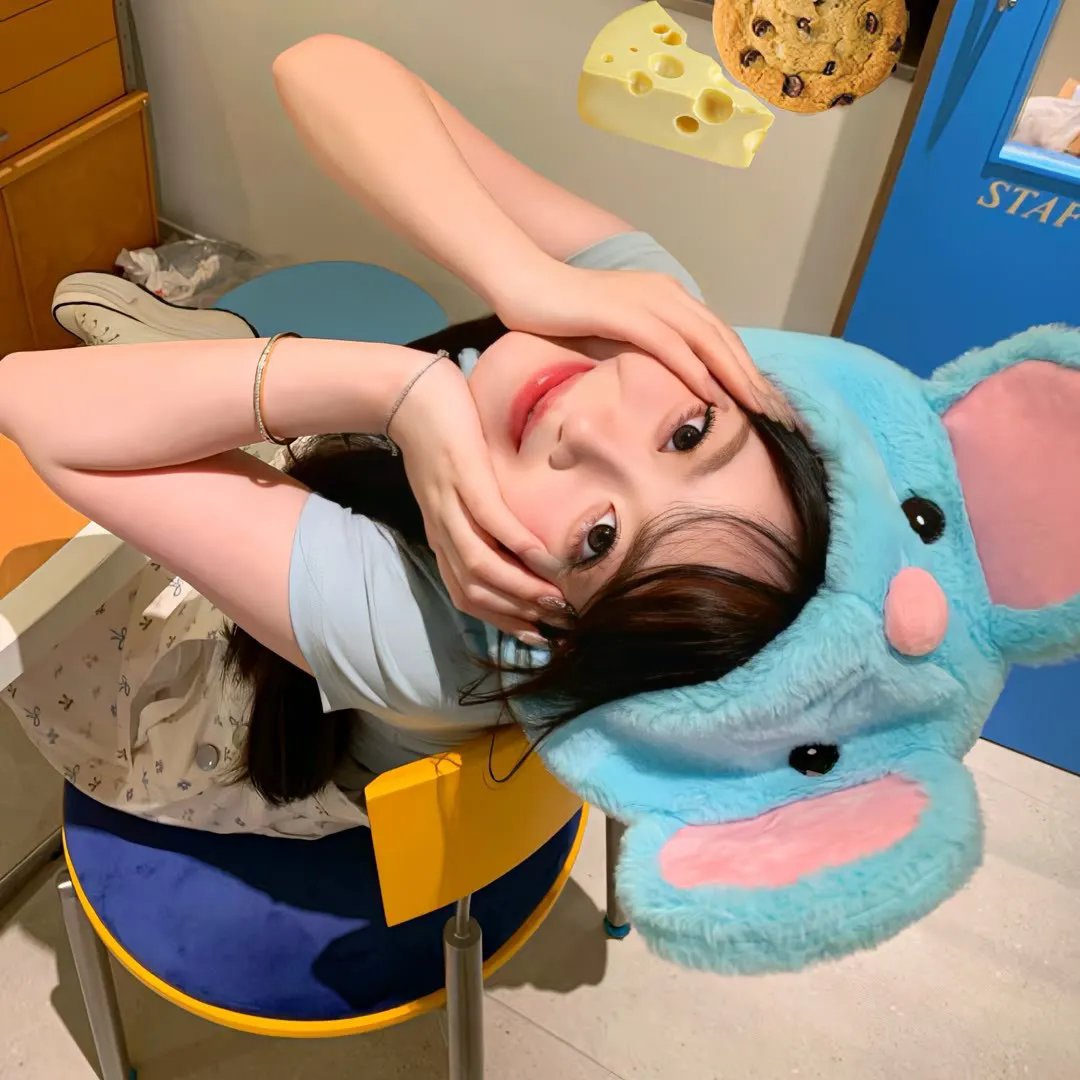 布查
